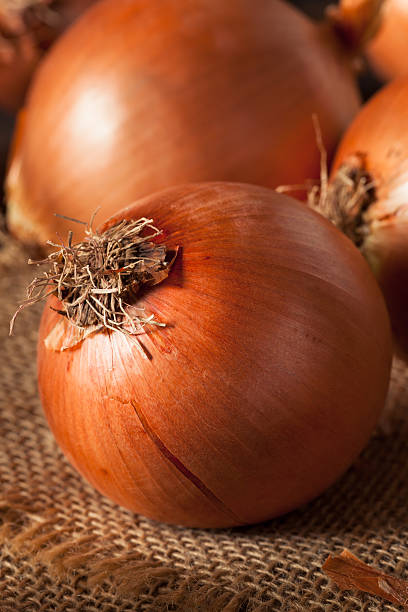 istock Raw Organic Yellow Onions 530183860