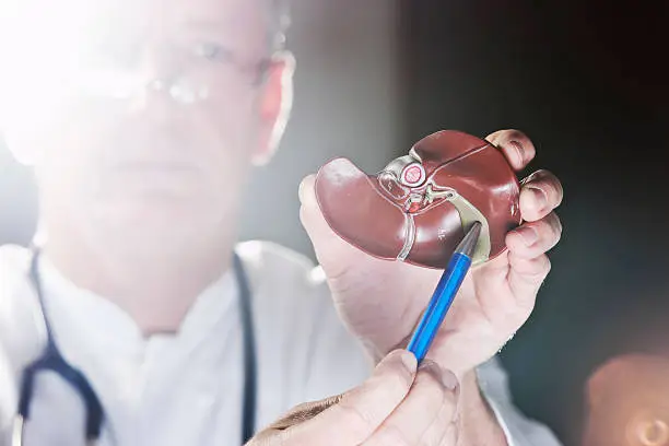 Photo of Doctor pointing at gall bladder