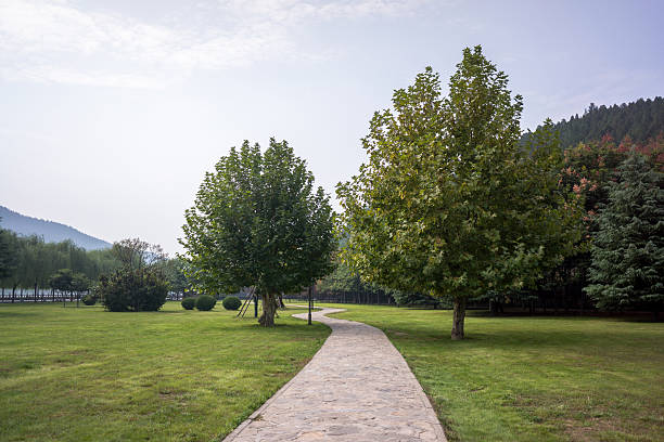 istock winding road at the mountain foot 530183977