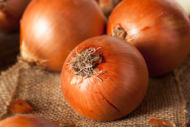 istock Raw Organic Yellow Onions 530183996