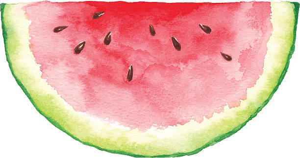 ilustraciones, imágenes clip art, dibujos animados e iconos de stock de acuarela sandía corte - watermelon