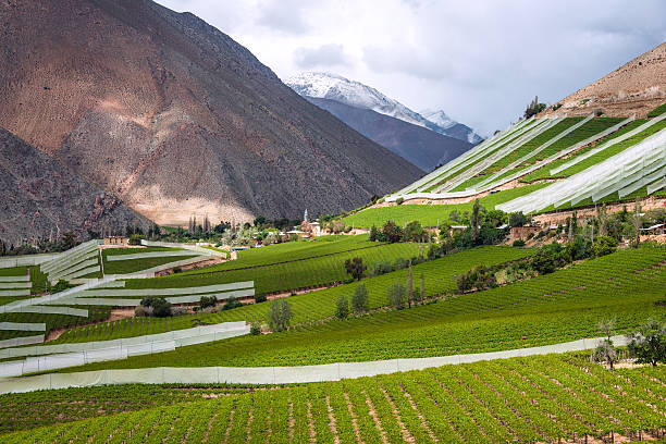 elqui valley, анды часть пустыня атакама, чили - coquimbo region стоковые фото и изображения