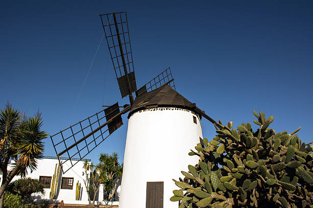 istock Fuerteventura, Canary Islands, Spain 530186258