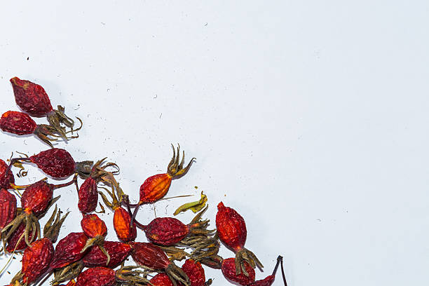 istock on a white background dried rose hips closeup 530186682