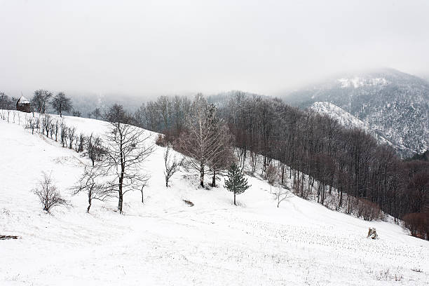istock The winter in mountain, landscape 530186923