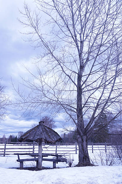 istock rural landscape in winter 530187032