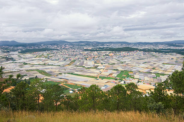Dalat is the capital of Lâm Đồng Province in Vietnam. The city is located 1,500 m (4,900 ft) above sea level on the Langbian Plateau in the southern parts of the Central Highlands region. In Vietnam, Da Lat is a popular tourist destination.