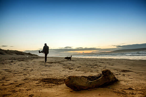 istock Senior man with dog on beach at sunrise 530188099