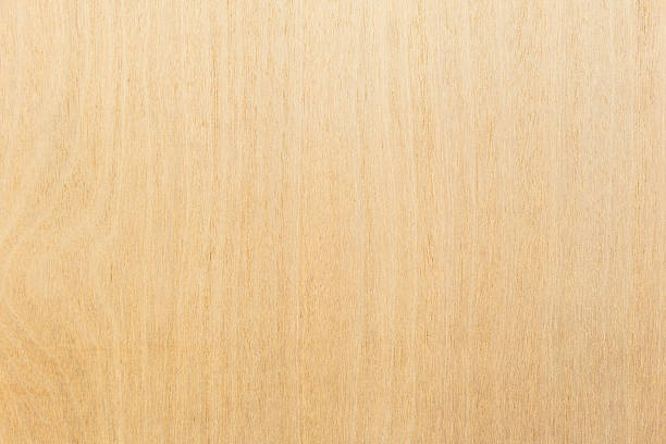 istock Wood board at the wall texture background 530188112