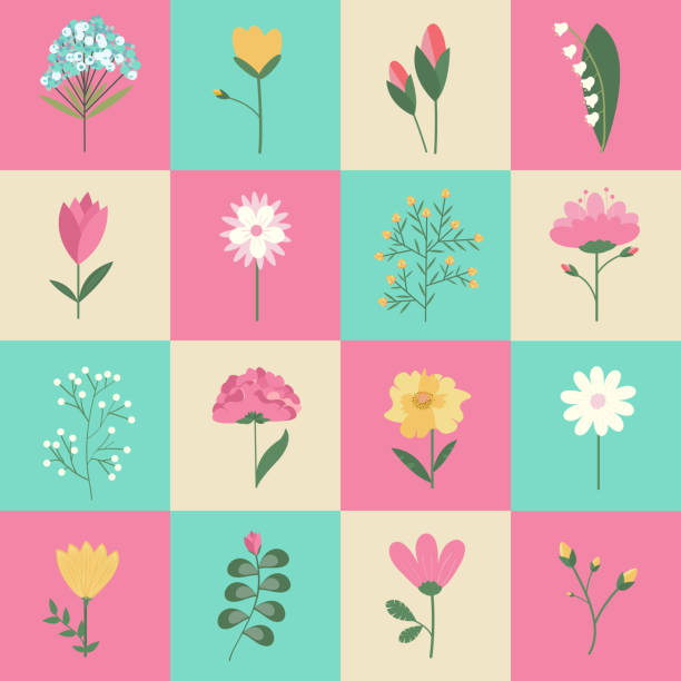 ilustraciones, imágenes clip art, dibujos animados e iconos de stock de conjunto de flores de colores pastel, ilustraciones concepto - tulip sunflower single flower flower