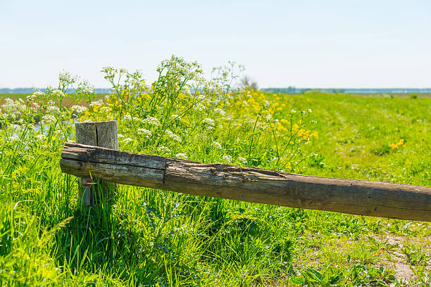 istock Canal through a sunny landscape in spring 530190394