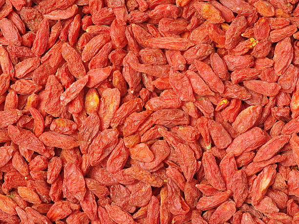 vermelho goji frutas secas (lycium barbarum, sinforina) - berry wolfberry berry fruit chinese medicine - fotografias e filmes do acervo