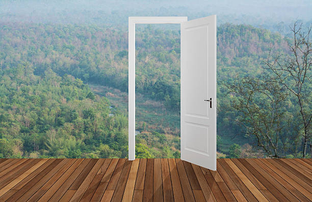 istock Landscape behind the opening door 530192378
