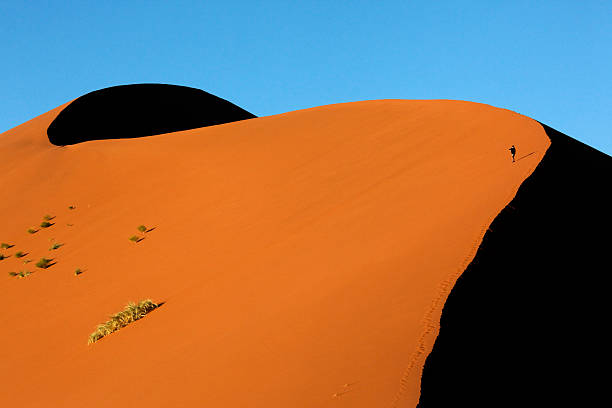 sand dune-naturreservat namib desert, sossusvlei, namibia - petrified sand dune stock-fotos und bilder