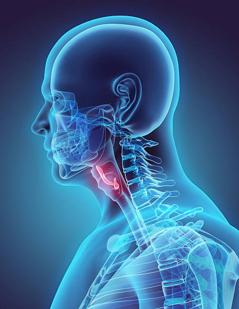 istock 3D illustration of Epiglottis, medical concept. 530197694