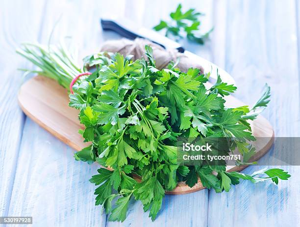 Parsley Stock Photo - Download Image Now - Parsley, Bouquet, Chef