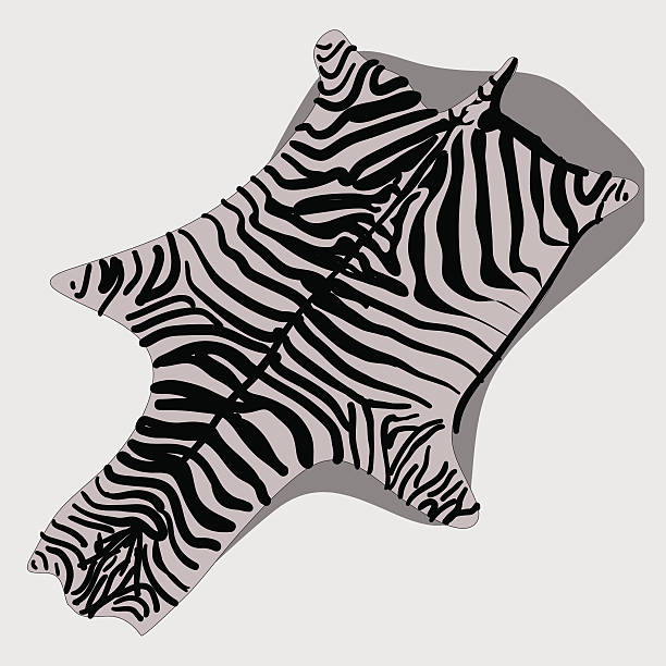 illustrazioni stock, clip art, cartoni animati e icone di tendenza di tappeto di pelle di zebra, fumetto stile - hide leather backgrounds isolated