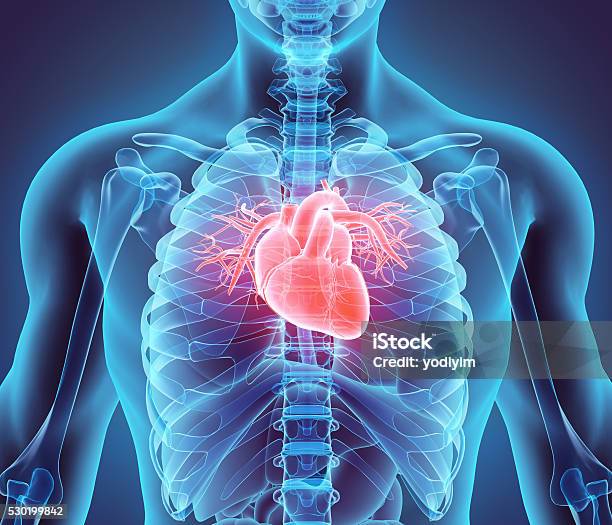 3d Illustration Of Heart Medical Concept Stock Photo - Download Image Now - Human Heart, The Human Body, Healthcare And Medicine
