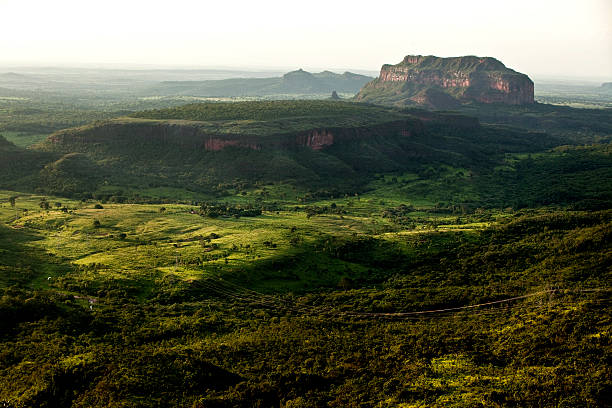 Nature Landscape 2012 mato grosso state photos stock pictures, royalty-free photos & images