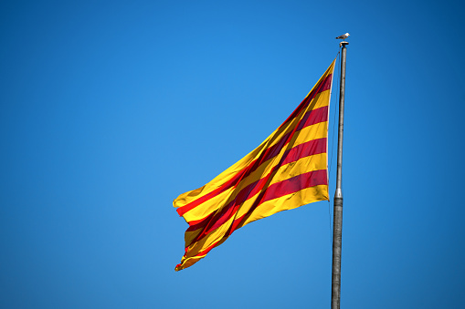 Catalan flag with pole, blowing in the wind on clear blue sky