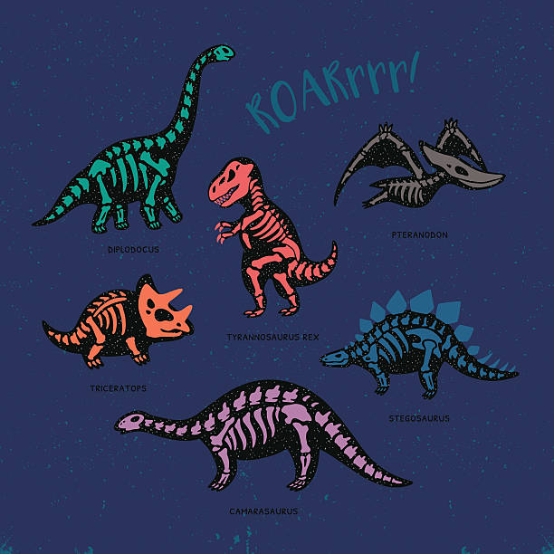 Niedliche Karte mit lustige Dinosaurier-Skelette im Comic-Stil – Vektorgrafik