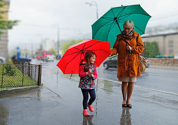 istock Escape from the rain 530202588