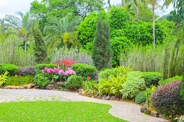 istock Amazing landscape Singapore 530204442