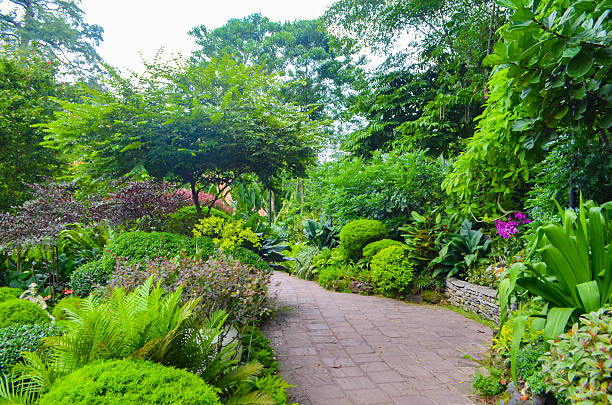 istock Amazing landscape Singapore 530204522