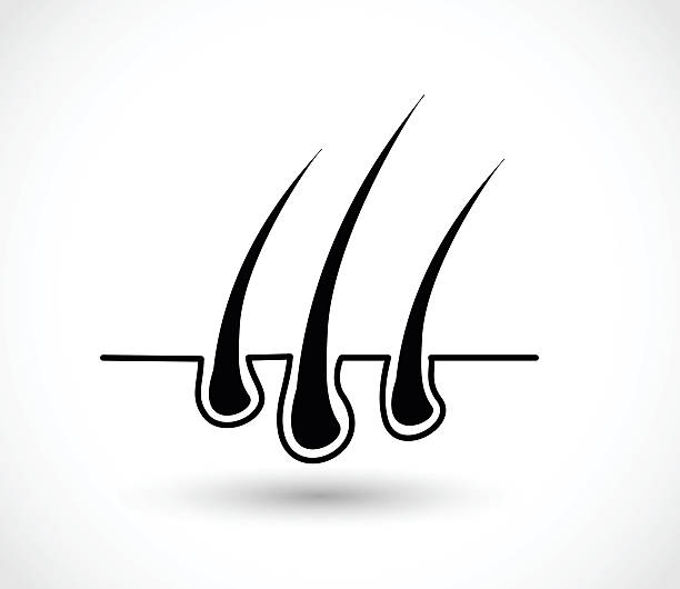 285 Laser Hair Growth Illustrations & Clip Art - iStock