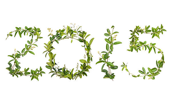 istock 2015 word of creeper flower 530205113