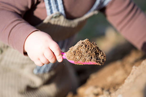 spielen mit sand  - sandbox child human hand sand stock-fotos und bilder