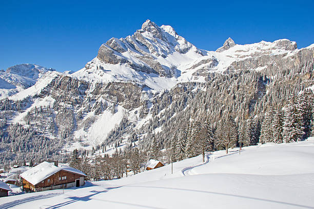 istock Winter in alps 530206283