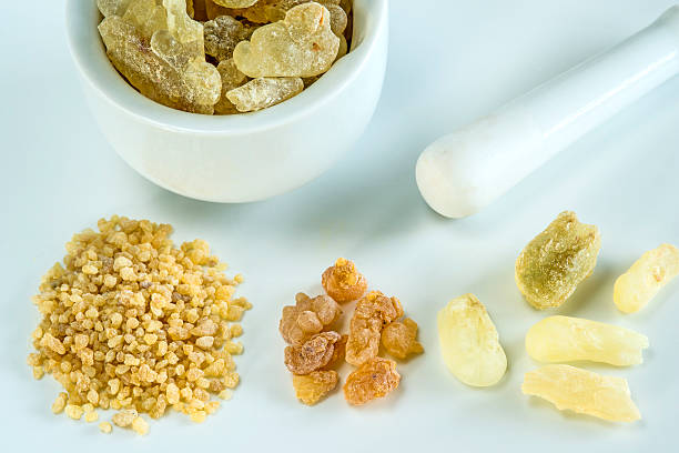 istock Olibanum, Boswellia serrata 530206695