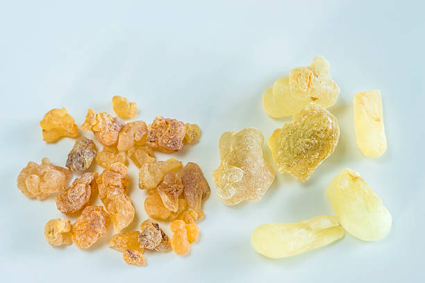 istock Olibanum, Boswellia serrata 530206697