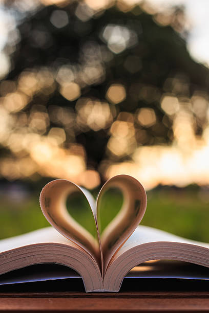 istock Close up book on table in sunset time 530206779
