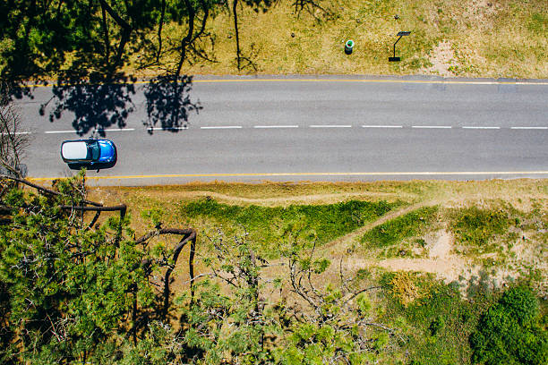 A road heading from a forest to a beach, with a summer feeling on it.