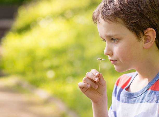 istock Sweet little boy smelling a daisy 530209240