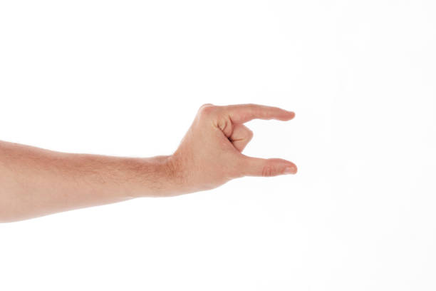 istock Hand holding something - Stock Image 530212108