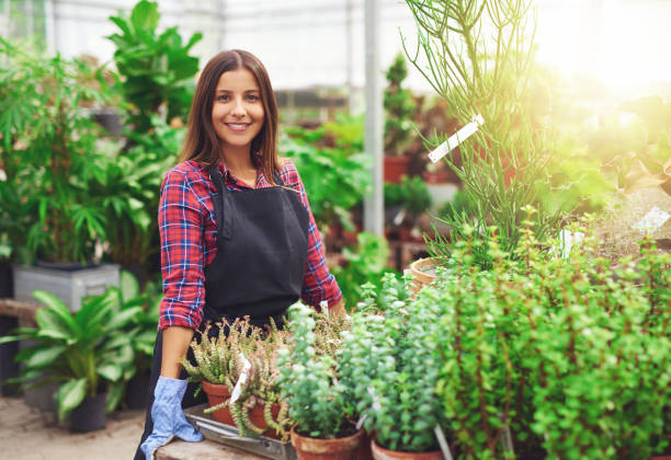 istock Smiling horticulturalist working in a greenhouse 530212264