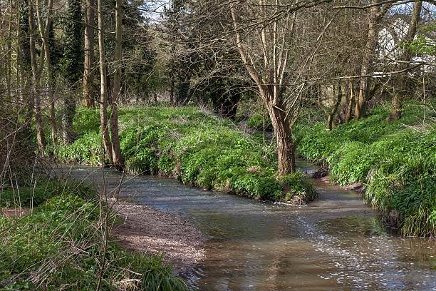 istock River Alne at Henley in Arden, Warwickshire, England 530212648