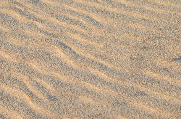 istock Detail of sand 530224303