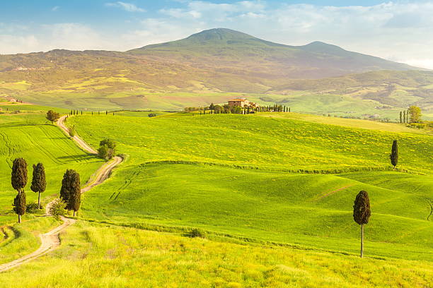 istock Tuscany - Italy 530226343