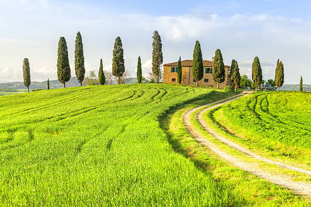 Tuscany - Italy  Tuscany - Italy agritourism stock pictures, royalty-free photos & images