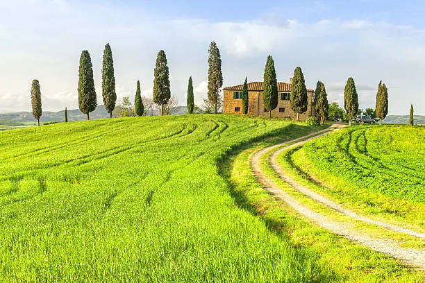  Tuscany - Italy