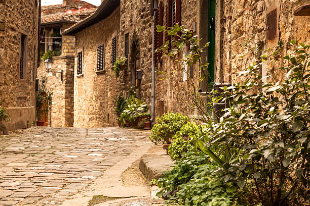 istock Tuscany - Italy 530226817