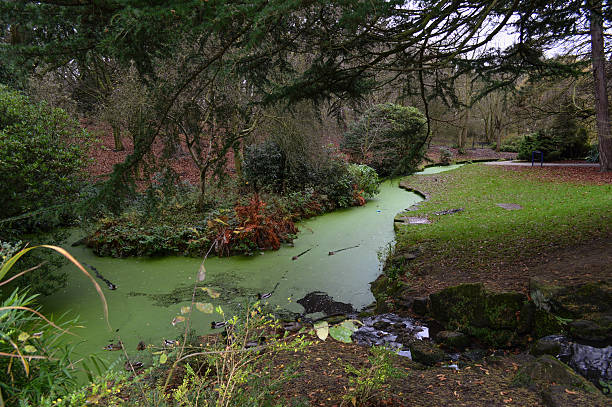 Liverpool, Sefton Park, Fairy Glen