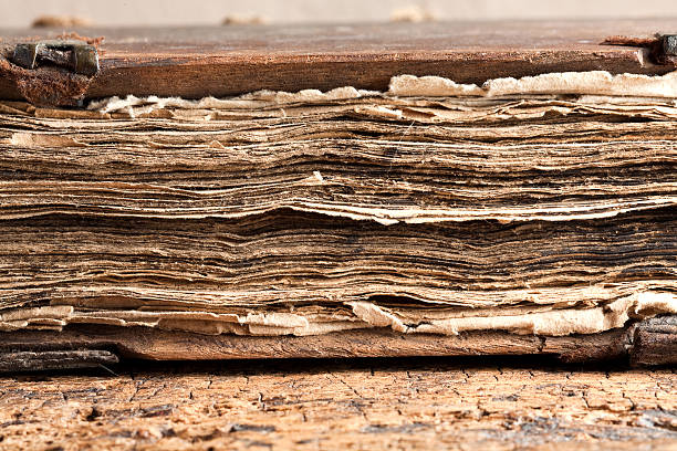 istock Grungy pages of old book 530233965