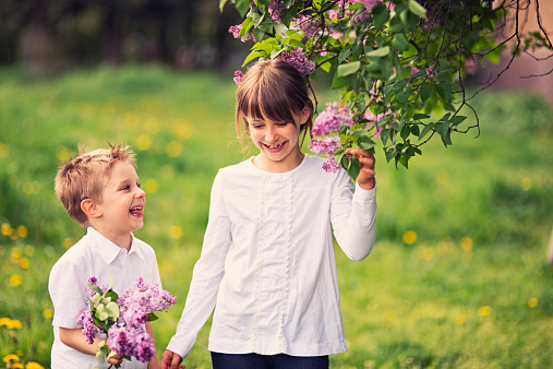 Brother and sister having fun picking up lilac flowers. Little girl is wearning white blouse and she's holding a branch of lilac. Little boy is wearing white shirt and holding a bouquet of lilac. Both the kids are laughing/Nikon D800