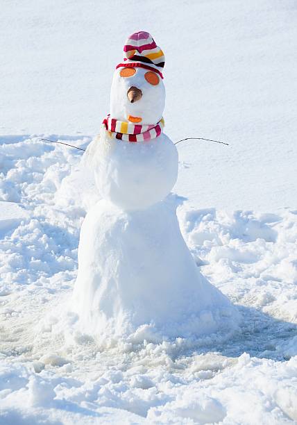 istock Homemade Snowman 530234845