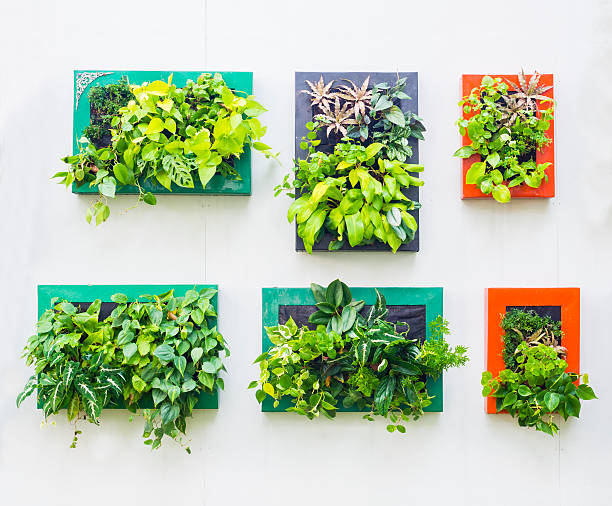 decorated wall in vertical garden, outdoor park